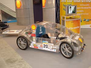 shell1.jpg