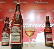 bud1.JPG