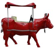 mucca1.JPG