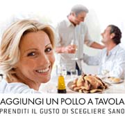 Pollo1.JPG