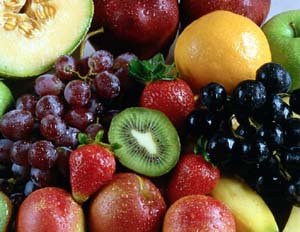 food1.JPG