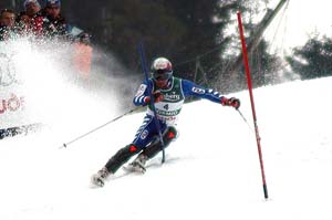 FiS1.JPG