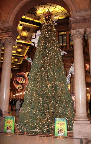 MAD2Tree-10 copia.JPG