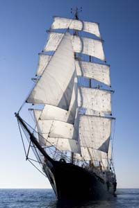 bassaVI1K3026 copia.JPG