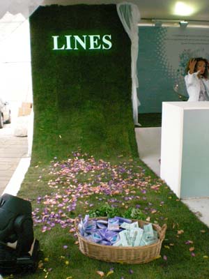 lines copia.JPG