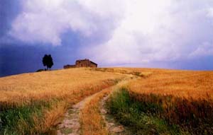 toscana-appartamenti copia.JPG