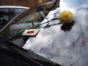 fioreNissanDEF copia.JPG