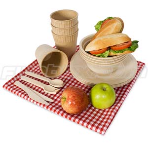 picnic copia.JPG