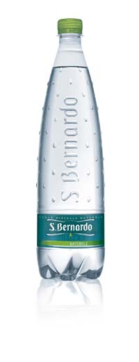 S.Bernardo by Giugiaro De copia.JPG