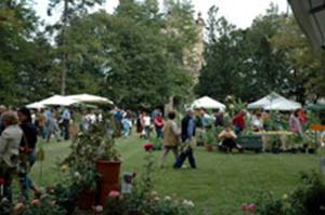 image002-11 copia.JPG