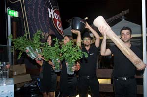 mojito2.jpg