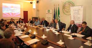 Sala di Rappresentanza.JPG