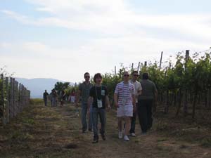 Cantine Aperte 02.jpg