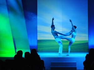 crisalys02 copia.JPG