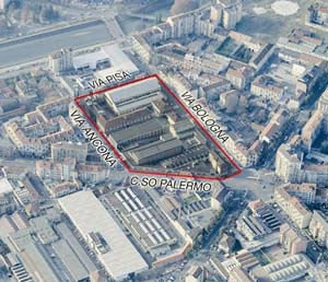 photo pianta copia.JPG