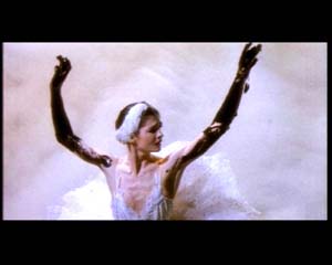 Greenpeace - No time to w copia.jpg