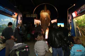 inizio percorso museo imp copia.jpg