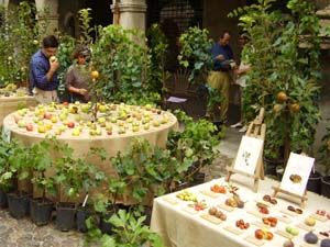 vivaio belfiore tavoli copia.jpg