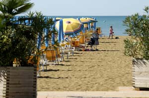 FOTO BIBIONE 1 copia.JPG