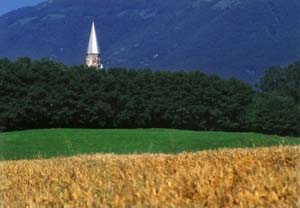 R_Crespano (Treviso) copia.JPG