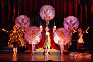 dindon_leonardi lumiere_.JPG