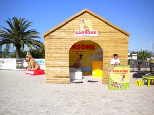 20100831_Sansone3 copia.JPG