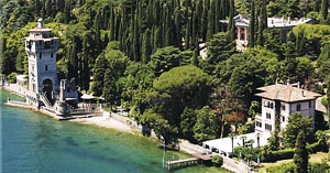 fiordaliso copia.JPG