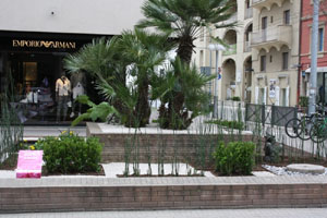 Allestimento viale Ceccar copia.JPG