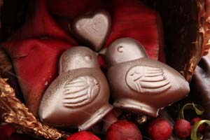 uccellininnamorati copia.jpg