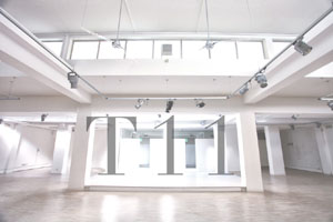 IMG_8563 2 copia.JPG