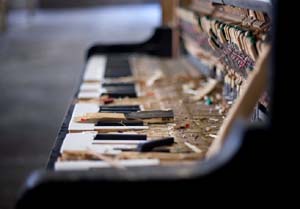 76386_121666421226082_121 copia.jpg