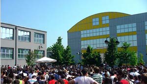 Immagine 3 copia.JPG