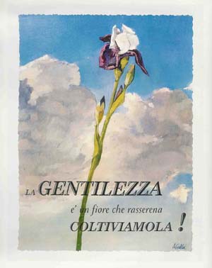 Nuova immagine copia.JPG
