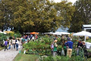 orticolario 18 copia.jpg