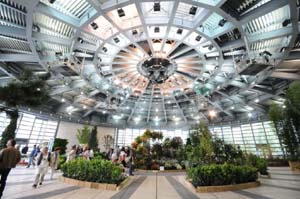 orticolario 19 copia.jpg