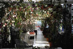 Lavazza_101014-190620 copia.JPG