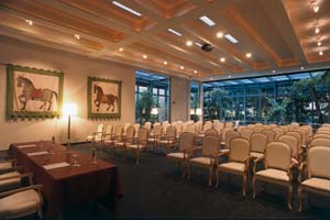 Salone delle Palme2 copia.JPG