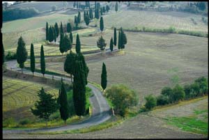 Toscana_ridotta copia.JPG