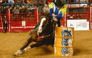 Img_western copia.jpg