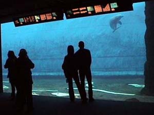 acquario_genova02 copia.JPG