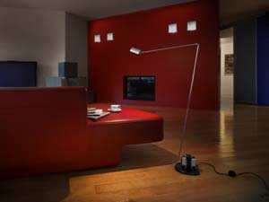 Daphine Terra copia.jpg