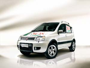 allestimento_panda copia.jpg