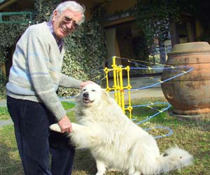 Quercetti.jpg