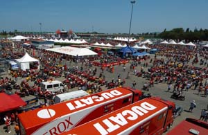 Paddock WDW copia.JPG