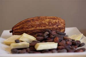 choc1.JPG