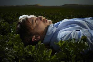 the-field-web copia.JPG