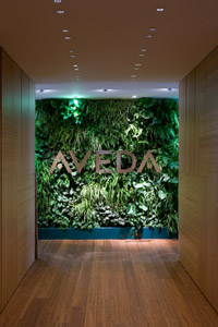 aveda2.jpg