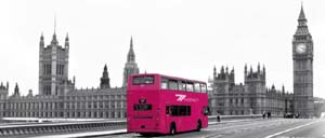 77-agency1 copia.jpg