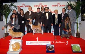 expo_canina1_jpg_595 copia.jpg