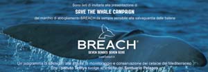 savethewhale_invito_150 copia.jpg